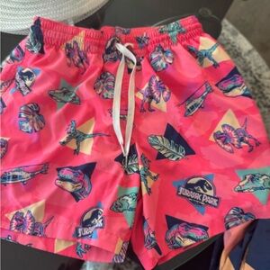 chubbies Men's Pink Jurassic Park Dino Swim Trunks